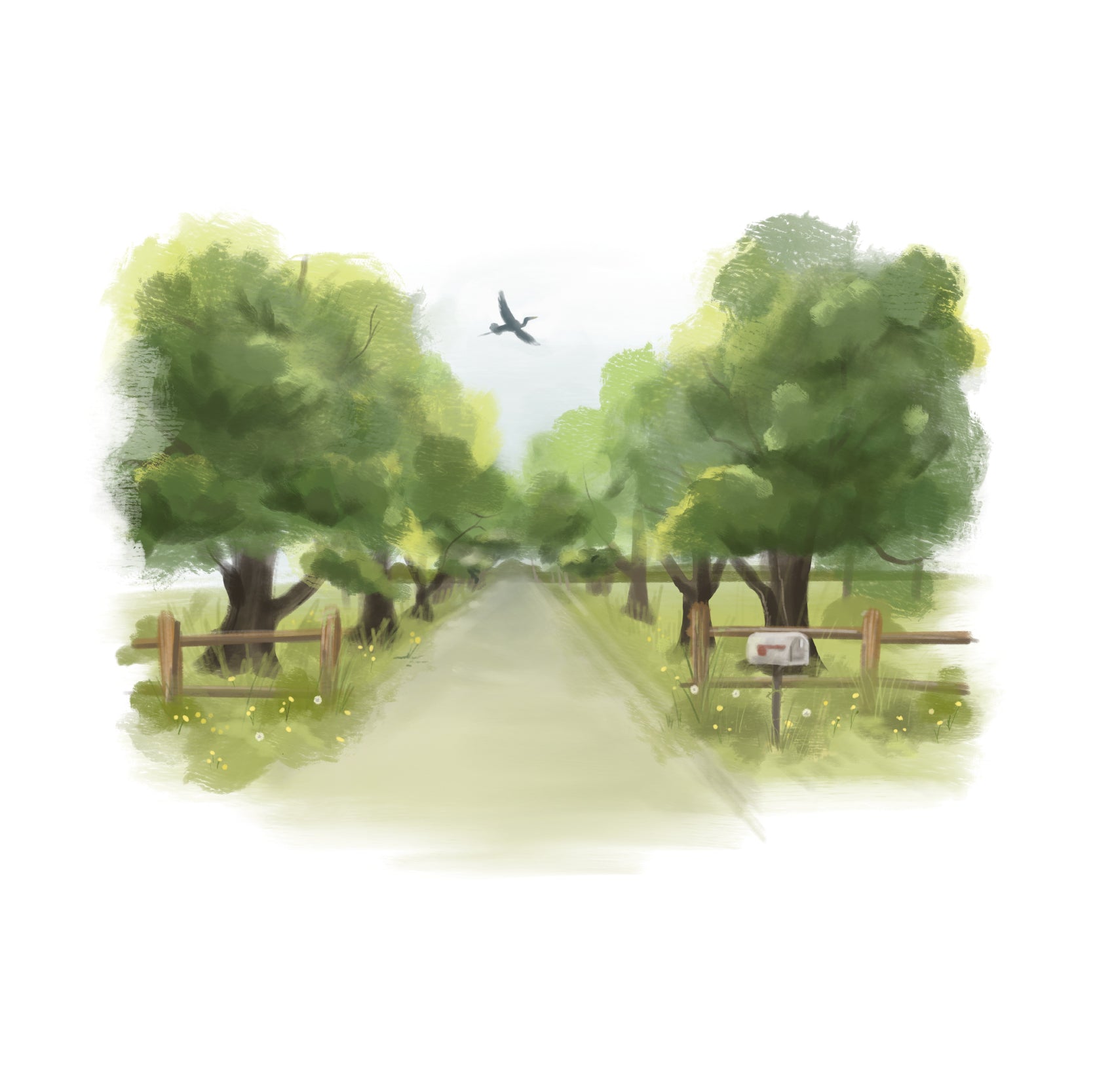 A sunday drive, tree lined road, salt air and marsh scented candles, easter shore inspirations, candles made in Maryland, fresh air, scents of the chesapeake bay