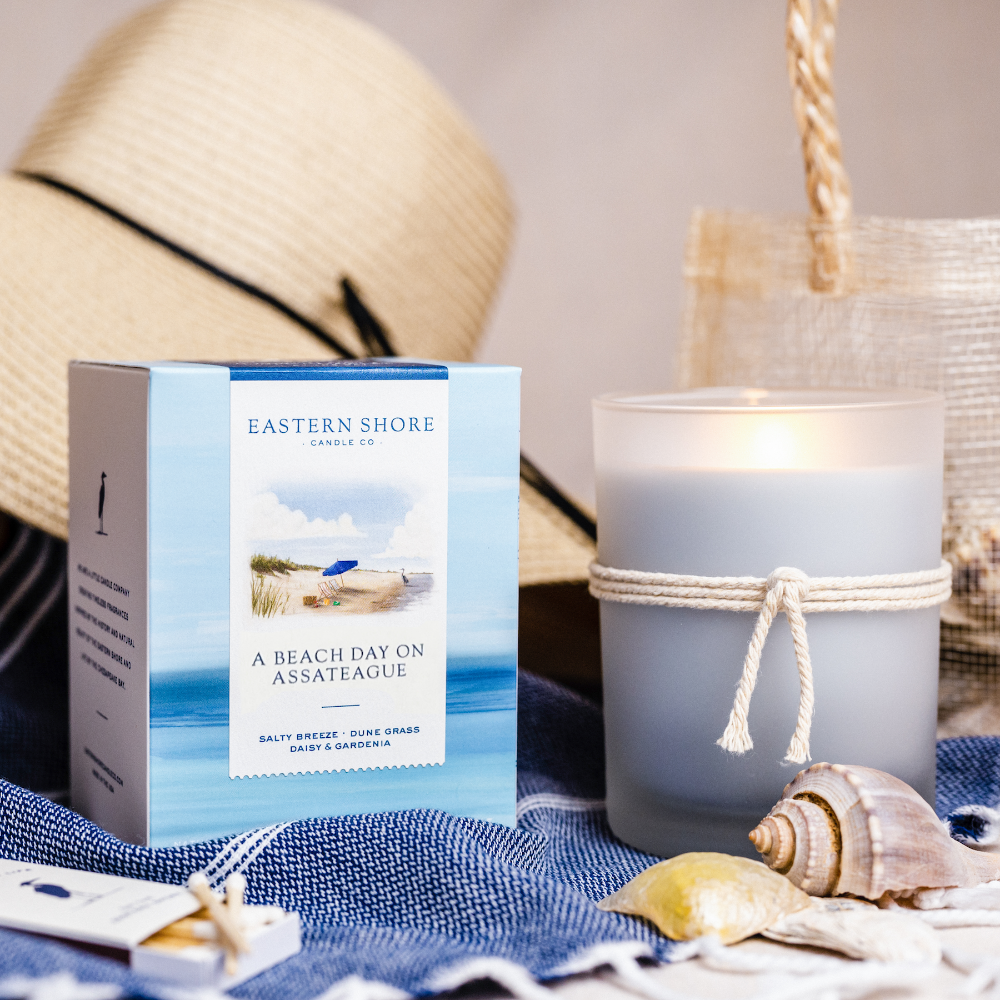 A Beach Day on Assateague Island