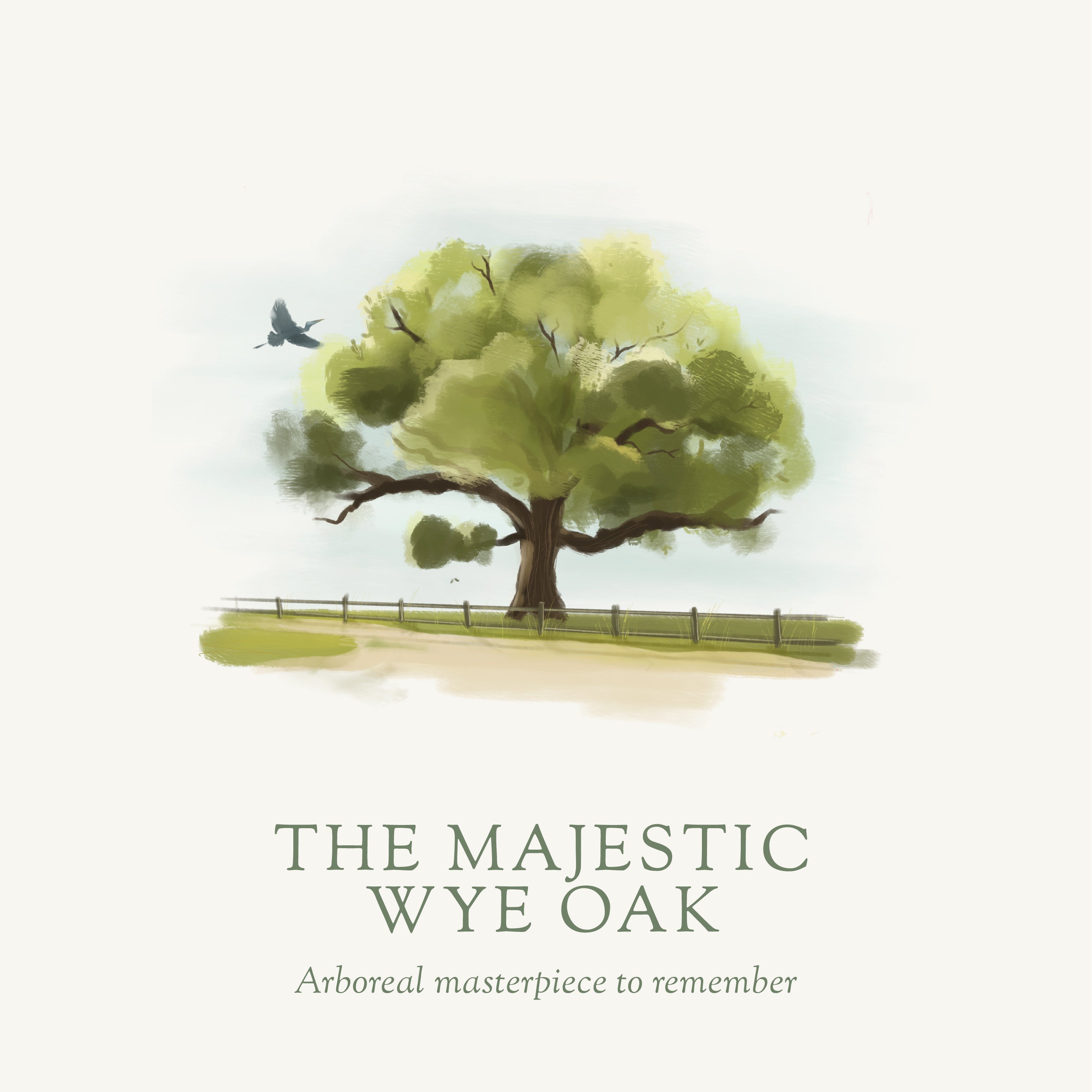 The Majestic Wye Oak, wye oak tree, bayberry scent, woodland moss scent, oak scent, fall scent, fall scented candle, wood scent, Scented candle, coconut soy wax, coastal candle, eastern shore, Chesapeake Bay, luxury candle, hand-poured, Maryland, Virginia