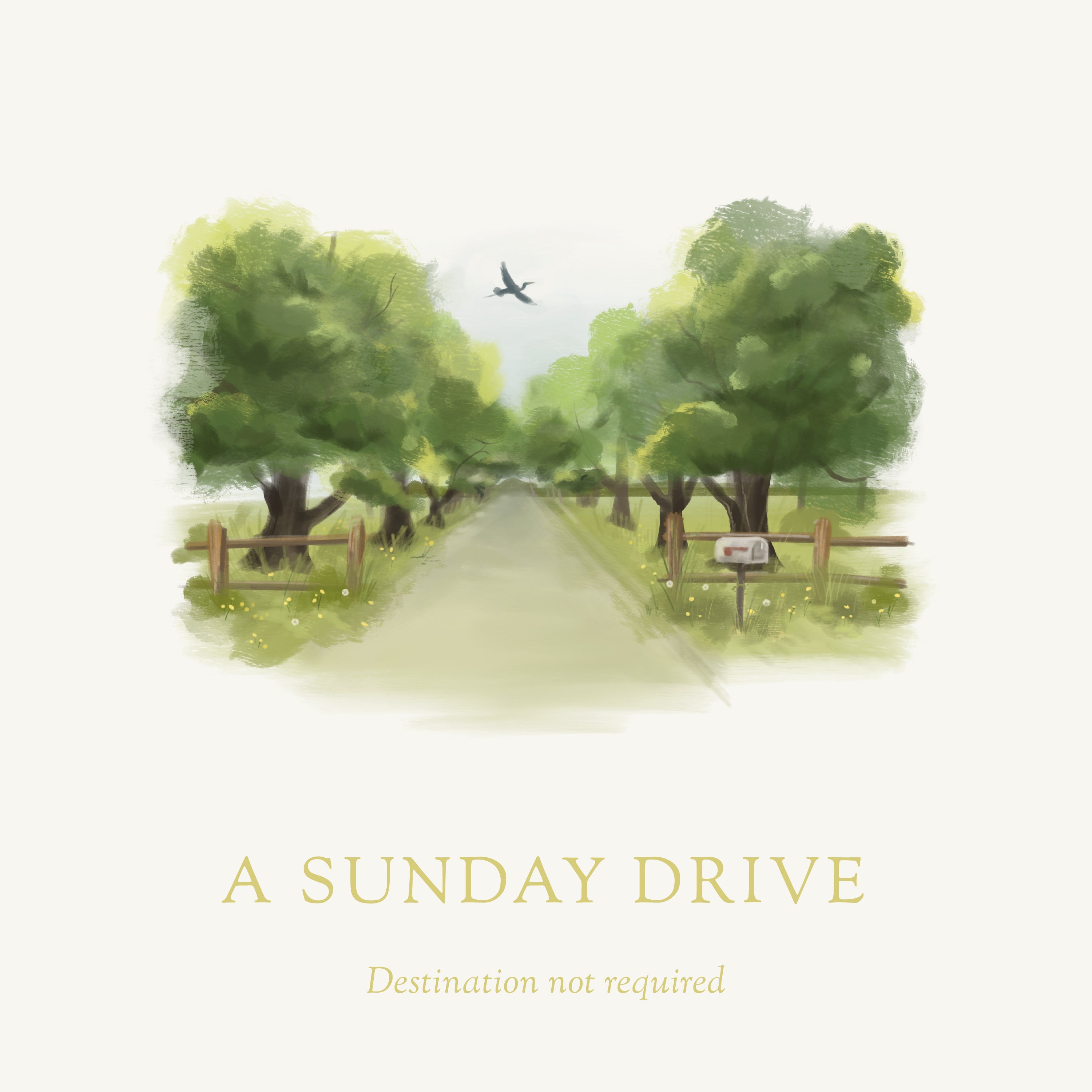 A Sunday Drive, Scented candle, coconut soy wax, coastal candle, eastern shore, Chesapeake Bay, luxury candle, hand-poured, Maryland, Virginia, candle gift, coastal gift, Spring candle scents, spring scents, floral candle, floral scents, Sunday Drive, spring blossoms, sweet grass, fresh air, spring air, honeysuckle scent