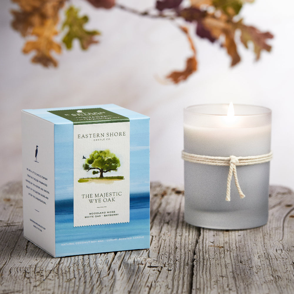 The Majestic Wye Oak, wye oak tree, bayberry scent, woodland moss scent, oak scent, fall scent, fall scented candle, wood scent, Scented candle, coconut soy wax, coastal candle, eastern shore, Chesapeake Bay, luxury candle, hand-poured, Maryland, Virginia