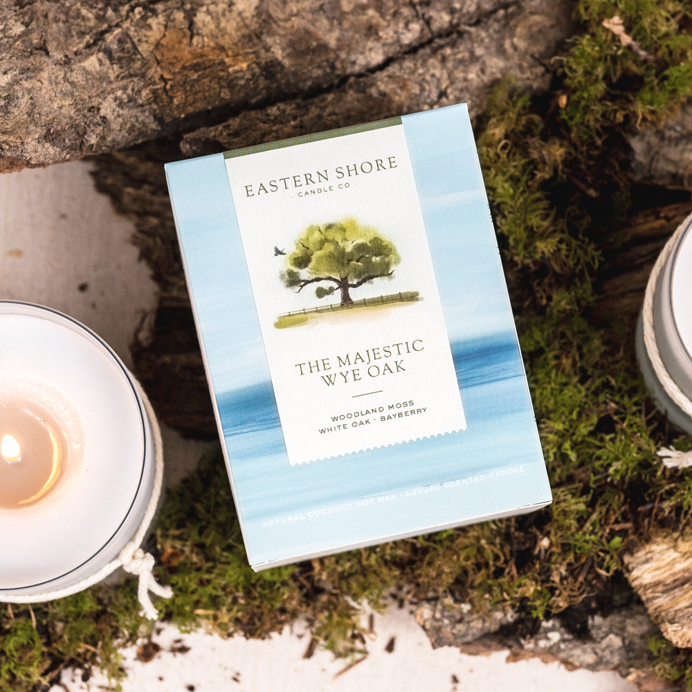 The Majestic Wye Oak, wye oak tree, bayberry scent, woodland moss scent, oak scent, fall scent, fall scented candle, wood scent, Scented candle, coconut soy wax, coastal candle, eastern shore, Chesapeake Bay, luxury candle, hand-poured, Maryland, Virginia