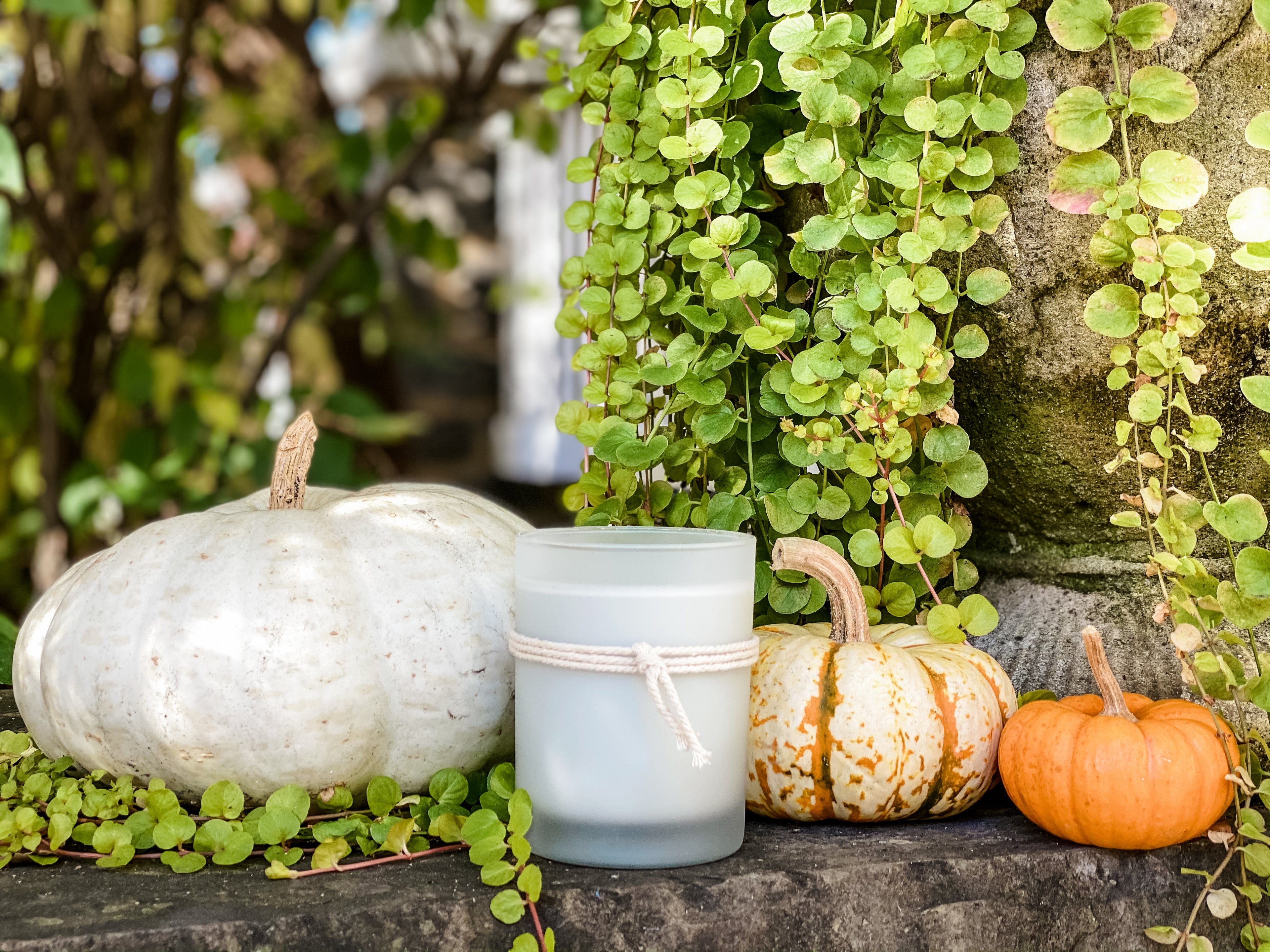 fall candle scents, eastern shore maryland, eastern shore virginia, chesapeake bay, fall fragrance, pumpkin spice scent, apple cider scent, cinnamon candle, pumpkins, fall scents