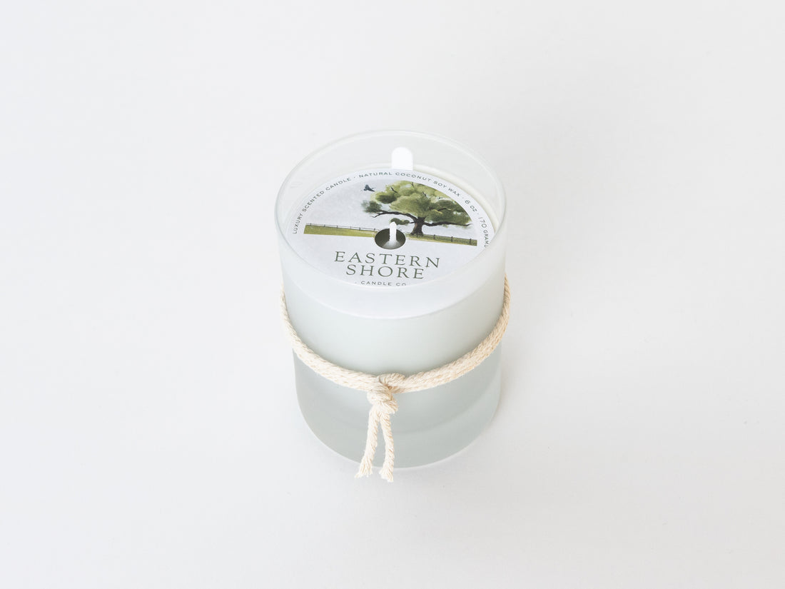 The Majestic Wye Oak, wye oak tree, bayberry scent, woodland moss scent, oak scent, fall scent, fall scented candle, wood scent, Scented candle, coconut soy wax, coastal candle, eastern shore, Chesapeake Bay, luxury candle, hand-poured, Maryland, Virginia